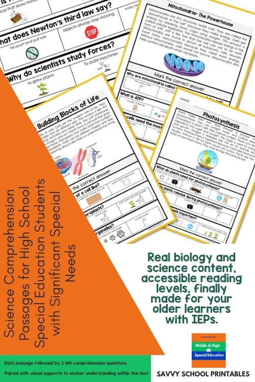 Special Education High School Science Image